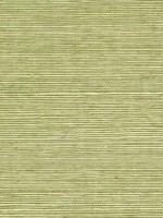 Sisal Grasscloth Pea Pod Wallpaper WTG-243466 by Winfield Thybony Wallpaper for sale at Wallpapers To Go