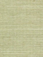 Sisal Grasscloth Fern Wallpaper WTG-243467 by Winfield Thybony Wallpaper for sale at Wallpapers To Go