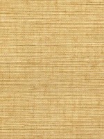 Sisal Grasscloth Brush Wallpaper WTG-243472 by Winfield Thybony Wallpaper for sale at Wallpapers To Go