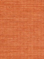 Sisal Grasscloth Amber Wallpaper WTG-243477 by Winfield Thybony Wallpaper for sale at Wallpapers To Go
