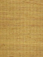 Sisal Grasscloth Metallic Goldenrod Wallpaper WTG-243482 by Winfield Thybony Wallpaper for sale at Wallpapers To Go