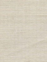 Sisal Grasscloth Seafoam Wallpaper WTG-243487 by Winfield Thybony Wallpaper for sale at Wallpapers To Go