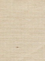 Sisal Grasscloth Spearmint Wallpaper WTG-243488 by Winfield Thybony Wallpaper for sale at Wallpapers To Go