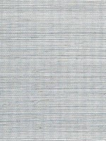 Sisal Grasscloth Metallic Smoke Wallpaper WTG-243501 by Winfield Thybony Wallpaper for sale at Wallpapers To Go