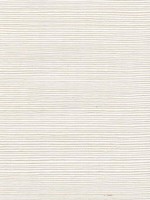 Sisal Grasscloth Buttermilk Wallpaper WTG-243502 by Winfield Thybony Wallpaper for sale at Wallpapers To Go