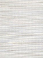 Sisal Grasscloth Metallic Sand Dollar Wallpaper WTG-243503 by Winfield Thybony Wallpaper for sale at Wallpapers To Go