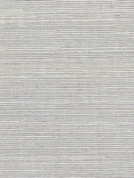 Sisal Grasscloth Oyester Wallpaper WTG-243504 by Winfield Thybony Wallpaper for sale at Wallpapers To Go