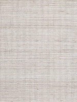 Sisal Grasscloth Metallic Beige Breeze Wallpaper WTG-243505 by Winfield Thybony Wallpaper for sale at Wallpapers To Go