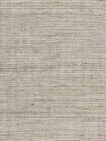 Sisal Grasscloth Metallic Linen Wallpaper WTG-243507 by Winfield Thybony Wallpaper for sale at Wallpapers To Go