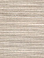 Sisal Grasscloth Shell Wallpaper WTG-243509 by Winfield Thybony Wallpaper for sale at Wallpapers To Go
