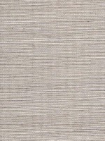 Sisal Grasscloth Metallic Thunder Wallpaper WTG-243510 by Winfield Thybony Wallpaper for sale at Wallpapers To Go