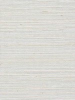 Sisal Grasscloth Metallic Vanilla Wallpaper WTG-243517 by Winfield Thybony Wallpaper for sale at Wallpapers To Go