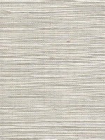 Sisal Grasscloth Laurel Wallpaper WTG-243519 by Winfield Thybony Wallpaper for sale at Wallpapers To Go