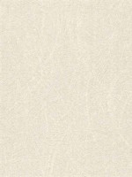 Blain White Texture Wallpaper WTG-244732 by Advantage Wallpaper for sale at Wallpapers To Go