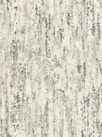 Colm Charcoal Birch Wallpaper WTG-244743 by Advantage Wallpaper for sale at Wallpapers To Go