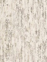 Colm Beige Birch Wallpaper WTG-244744 by Advantage Wallpaper for sale at Wallpapers To Go