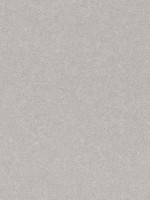 Dale Light Grey Texture Wallpaper WTG-244754 by Advantage Wallpaper for sale at Wallpapers To Go