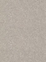 Dale Neutral Texture Wallpaper WTG-244755 by Advantage Wallpaper for sale at Wallpapers To Go