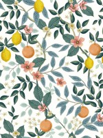 Citrus Grove White Peel and Stick Wallpaper WTG-245086 by Rifle Paper Co Wallpaper for sale at Wallpapers To Go