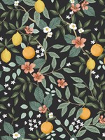 Citrus Grove Black Peel and Stick Wallpaper WTG-245089 by Rifle Paper Co Wallpaper for sale at Wallpapers To Go