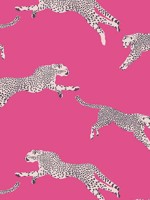 Leaping Cheetah Bubblegum Wallpaper WTG-245422 by Scalamandre Wallpaper for sale at Wallpapers To Go