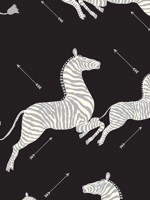 Zebras Wallpaper Black and Silver Wallpaper WTG-245588 by Scalamandre Wallpaper for sale at Wallpapers To Go