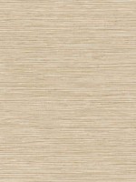 Alton Wheat Faux Grasscloth Wallpaper WTG-246082 by Advantage Wallpaper for sale at Wallpapers To Go