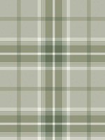 Sala Green Plaid Wallpaper WTG-246209 by Advantage Wallpaper for sale at Wallpapers To Go