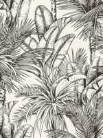 Serra White Palm Wallpaper WTG-246216 by Advantage Wallpaper for sale at Wallpapers To Go