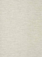 Spiro Taupe Wallpaper WTG-246480 by Thibaut Wallpaper for sale at Wallpapers To Go