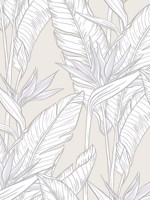 Birds of Paradise Pearl Grey Silver Peel and Stick Wallpaper WTG-246687 by NextWall Wallpaper for sale at Wallpapers To Go