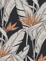 Birds of Paradise Onyx Met Copper Peel and Stick Wallpaper WTG-246688 by NextWall Wallpaper for sale at Wallpapers To Go