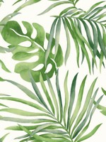 Green Paradise Palm Peel and Stick Wallpaper WTG-246842 by Candice Olson Wallpaper for sale at Wallpapers To Go