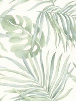 Aloe Paradise Palm Peel and Stick Wallpaper WTG-246843 by Candice Olson Wallpaper for sale at Wallpapers To Go