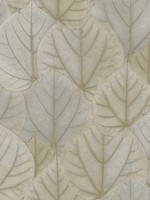 Warm Taupe Leaf Concerto Peel and Stick Wallpaper WTG-246855 by Candice Olson Wallpaper for sale at Wallpapers To Go