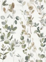 Green Joyful Eucalyptus Peel and Stick Wallpaper WTG-246860 by Candice Olson Wallpaper for sale at Wallpapers To Go