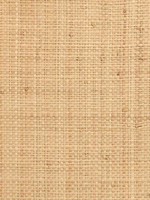 Grasscloth Wallpaper WTG-246949 by Astek Wallpaper for sale at Wallpapers To Go