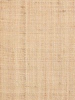 Grasscloth Wallpaper WTG-246951 by Astek Wallpaper for sale at Wallpapers To Go