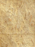 Cork Metallic Wallpaper WTG-246955 by Astek Wallpaper for sale at Wallpapers To Go