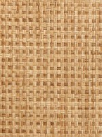 Grasscloth Wallpaper WTG-246975 by Astek Wallpaper for sale at Wallpapers To Go