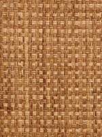 Grasscloth Wallpaper WTG-246976 by Astek Wallpaper for sale at Wallpapers To Go