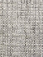 Grasscloth Metallic Wallpaper WTG-246983 by Astek Wallpaper for sale at Wallpapers To Go
