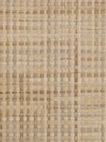 Grasscloth Wallpaper WTG-246984 by Astek Wallpaper for sale at Wallpapers To Go