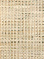 Grasscloth Wallpaper WTG-246985 by Astek Wallpaper for sale at Wallpapers To Go