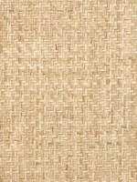 Grasscloth Wallpaper WTG-246987 by Astek Wallpaper for sale at Wallpapers To Go