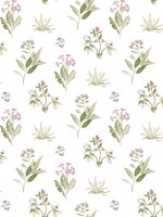 Mazzetto Edra Pink Wallpaper WTG-247424 by Galerie Wallpaper for sale at Wallpapers To Go