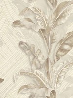 Palma Cream Beige Wallpaper WTG-247466 by Galerie Wallpaper for sale at Wallpapers To Go
