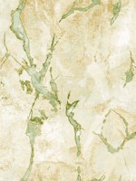 Marmo Gold Green Wallpaper WTG-247494 by Galerie Wallpaper for sale at Wallpapers To Go