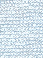 Maluku Light Blue Fabric WTG-247896 by Thibaut Fabrics for sale at Wallpapers To Go