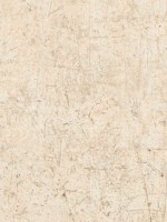 Scratch Texture Creams White Opaque Ochre Wallpaper WTG-248043 by Patton Norwall Wallpaper for sale at Wallpapers To Go